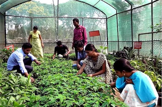 Agriculture-Colleges-in-India