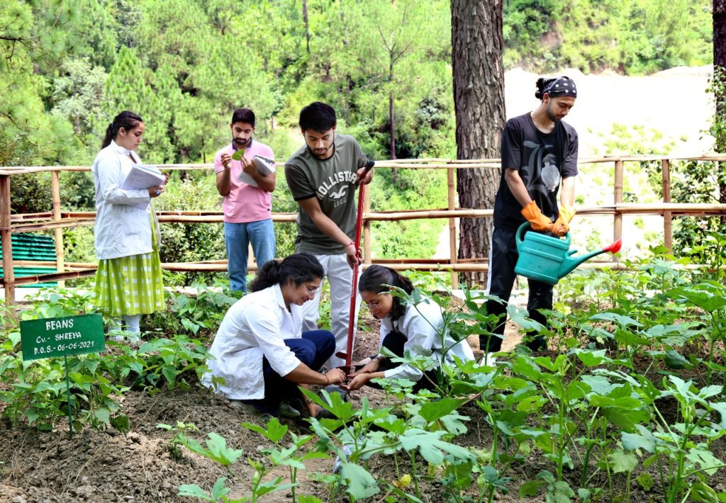 BSC-Hons-Agriculture